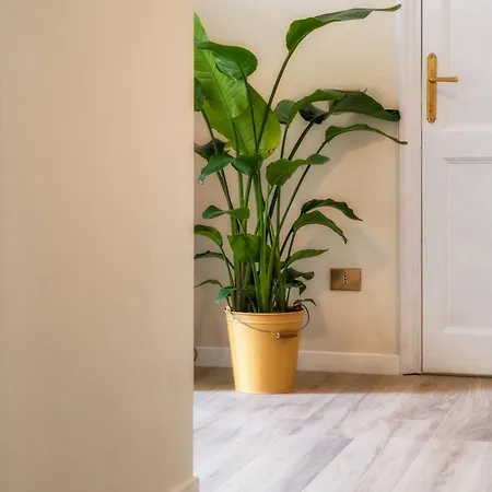 Colosseo House Рим